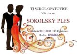 Sokolský ples Opatovice
