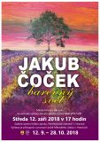 Výstava obrazů Jakuba Čočka – Barevný svět