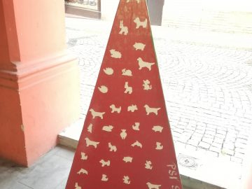 Výstava vánočních stromků / fotogalerie / IC VET Hranice + psí salón Dagmar Dlouhá + chovatelská stanice, foto: Ivana Žáková