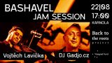 BACK TO THE ROOTS: Bashavel Jam Session