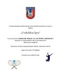 O sokolskou lajnu