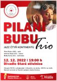 Koncert Pilani Bubu Trio