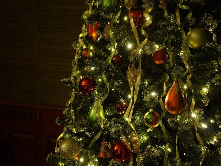 Rozsvícení vánočního stromu v Teplicích nad Bečvou