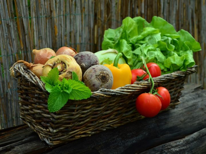 Podzimní výstava ovoce, zeleniny, kaktusů a sukulentů