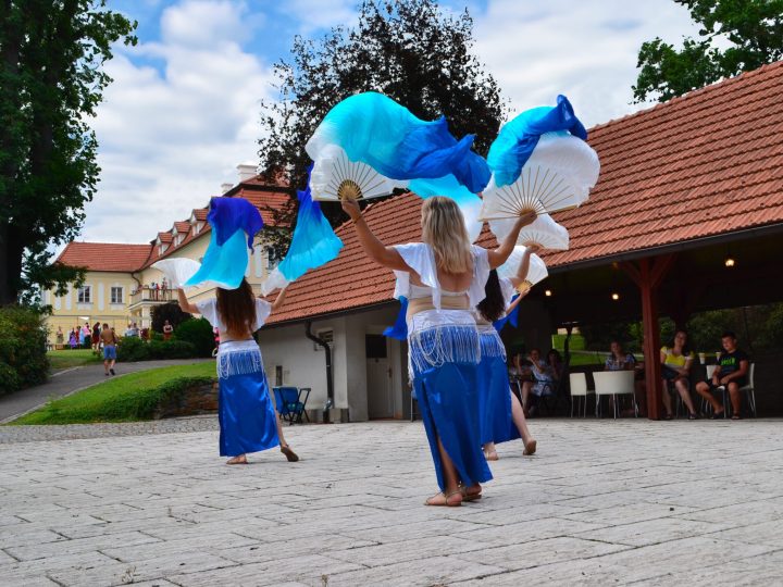 Dny soukromých hradů a zámků na Zámku Všechovice