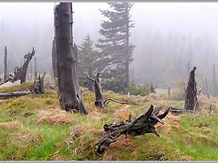 Vernisáž: Čarovná Šumava a tajemné Krkonoše