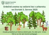 Večerní les