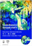 Renata Doleželová – Náhodné efekty