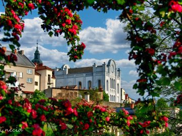 Výstava obrazů, fotografií a plastik