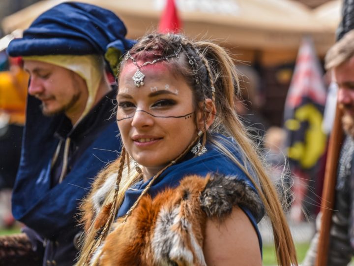 Festival vojenské historie