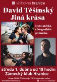 David Těšínský – Jiná krása