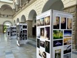 Vernisáže: II. Czech Art Photo International Salon Hranice 2026